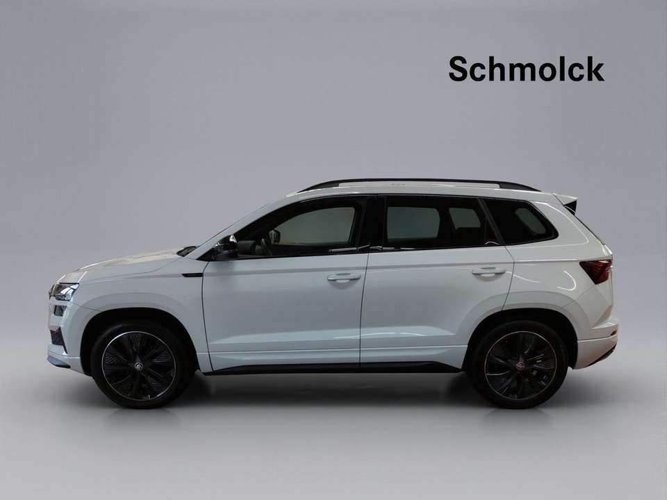 Skoda Karoq - Imagem 2