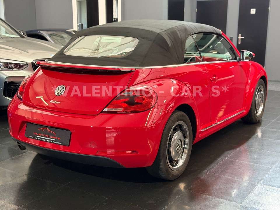 Volkswagen Beetle - Imagem 6