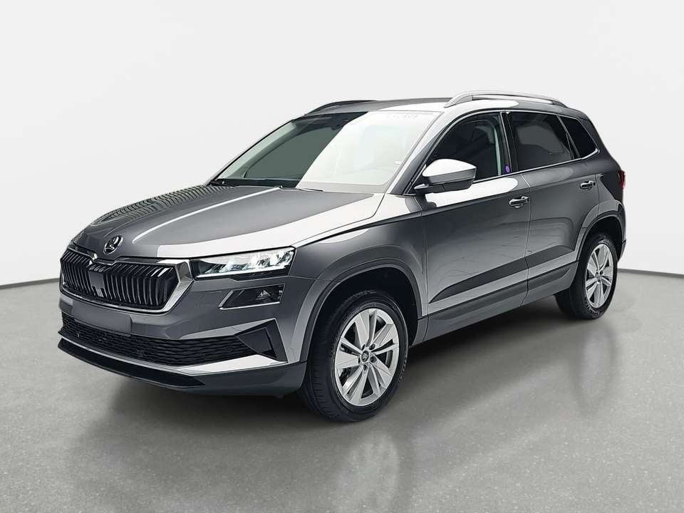 Skoda Karoq - Imagem 2
