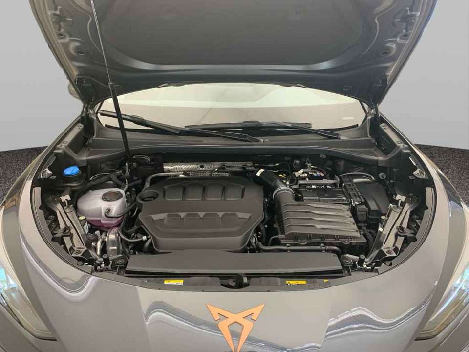 CUPRA Terramar - Imagem 15