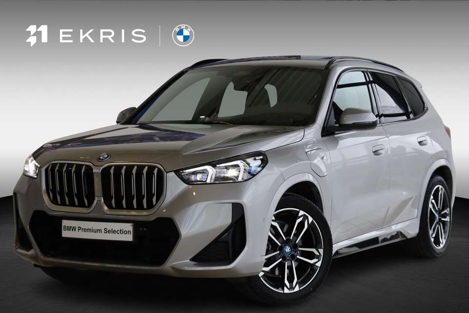 BMW X1 - Imagem 1