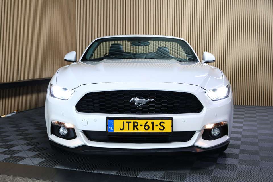 Ford Mustang - Imagem 7