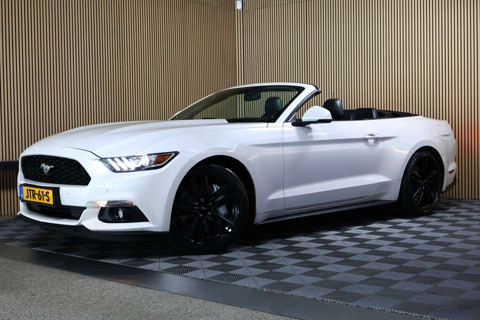 Ford Mustang - Imagem 8