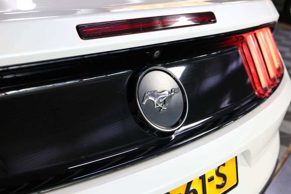 Ford Mustang - Imagem 10