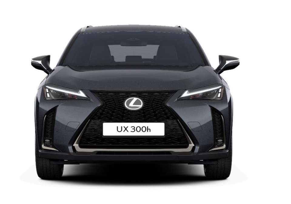 Lexus UX 300h - Imagem 2