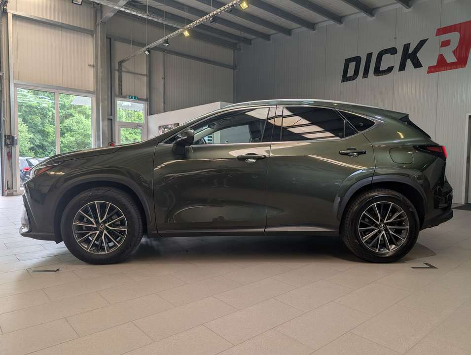 Lexus NX 350h - Imagem 2
