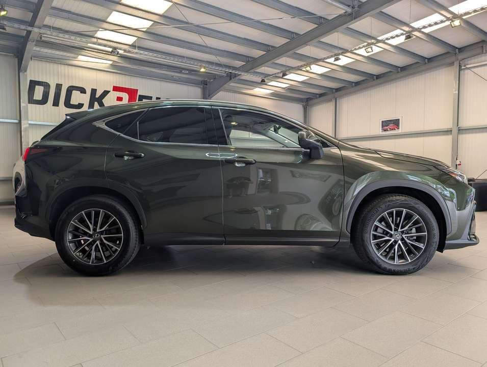 Lexus NX 350h - Imagem 6