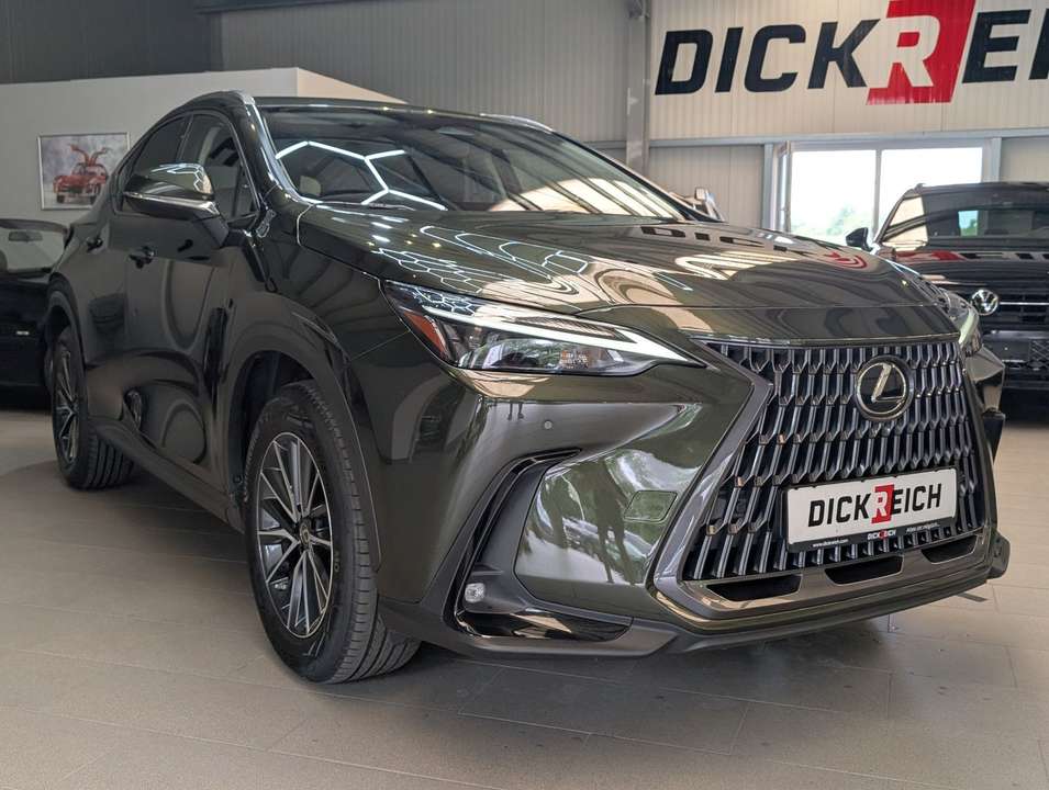 Lexus NX 350h - Imagem 7