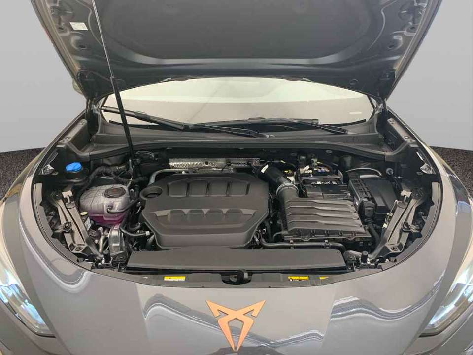 CUPRA Terramar - Imagem 15