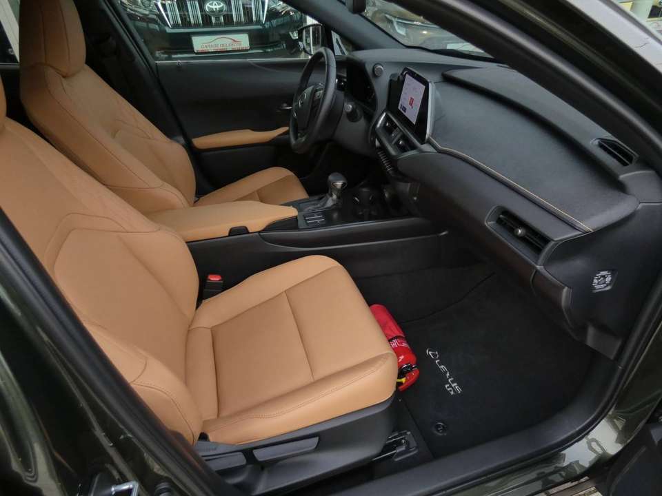 Lexus UX 250h - Imagem 9