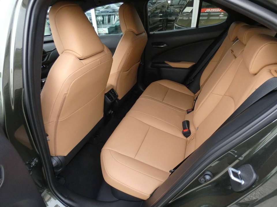 Lexus UX 250h - Imagem 12