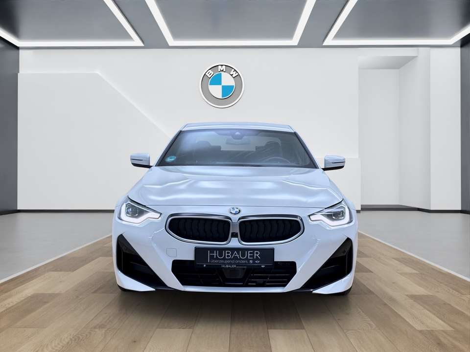 BMW 220 - Imagem 10