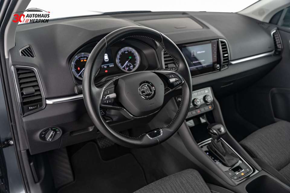 Skoda Karoq - Imagem 8