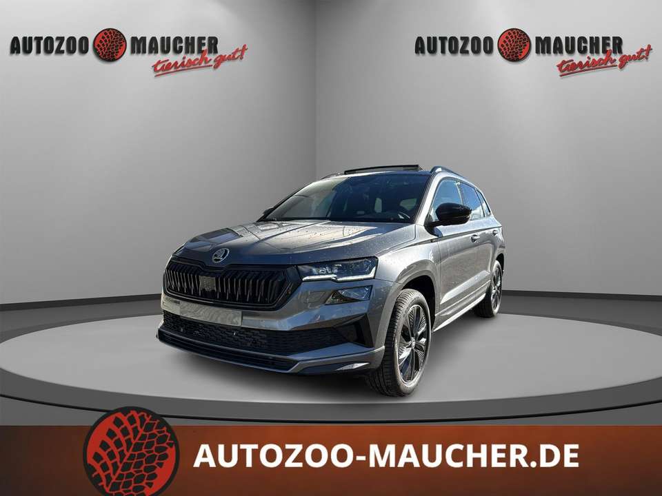 Skoda Karoq - Imagem 1