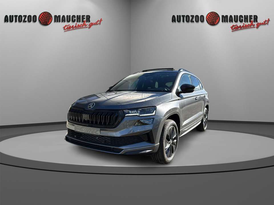 Skoda Karoq - Imagem 2