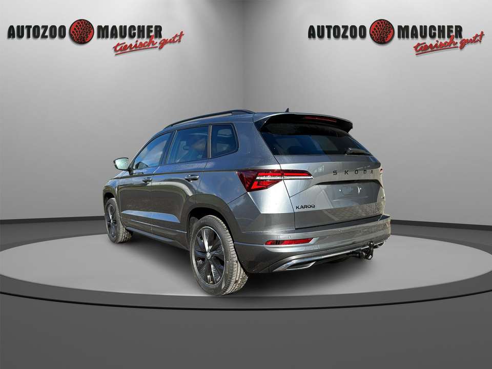 Skoda Karoq - Imagem 4