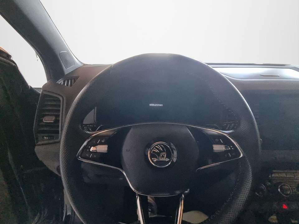 Skoda Karoq - Imagem 12