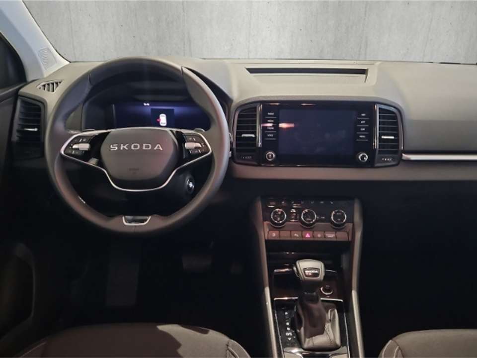 Skoda Karoq - Imagem 10